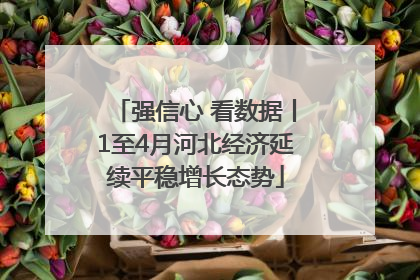 强信心 看数据丨1至4月河北经济延续平稳增长态势
