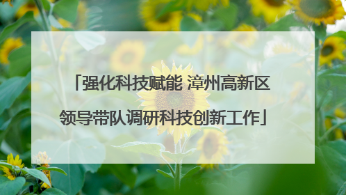 强化科技赋能 漳州高新区领导带队调研科技创新工作