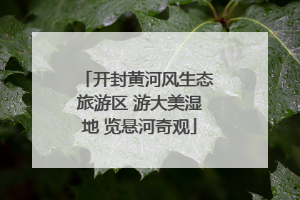 开封黄河风生态旅游区 游大美湿地 览悬河奇观