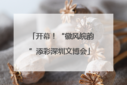 开幕！“徽风皖韵”添彩深圳文博会