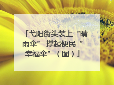 弋阳街头装上“晴雨伞” 撑起便民“幸福伞”（图）