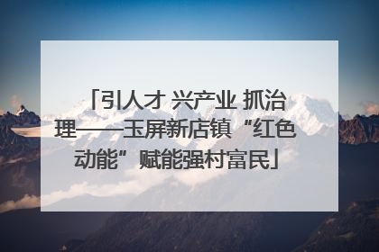 引人才 兴产业 抓治理——玉屏新店镇“红色动能”赋能强村富民