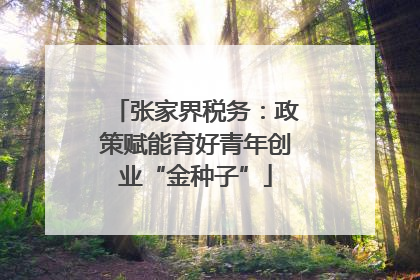张家界税务：政策赋能育好青年创业“金种子”