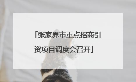 张家界市重点招商引资项目调度会召开