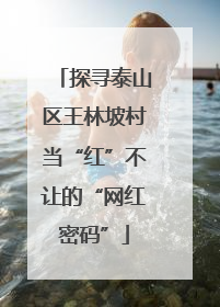 探寻泰山区王林坡村当“红”不让的“网红密码”