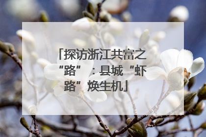探访浙江共富之“路”：县城“虾路”焕生机