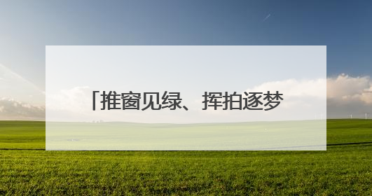 推窗见绿、挥拍逐梦，东营港“小城大爱”奏响文明新乐章