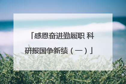 感恩奋进勤履职 科研报国争新绩（一）