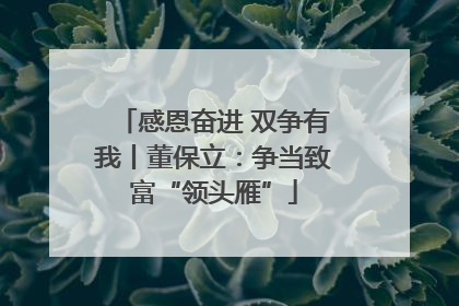 感恩奋进 双争有我丨董保立：争当致富“领头雁”