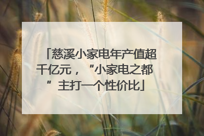 慈溪小家电年产值超千亿元，“小家电之都”主打一个性价比