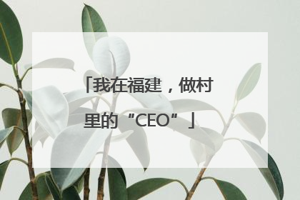 我在福建，做村里的“CEO”