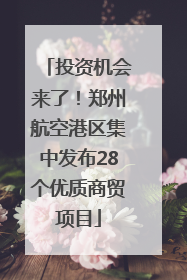 投资机会来了！郑州航空港区集中发布28个优质商贸项目