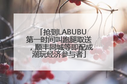 抢到LABUBU第一时间叫跑腿取送，顺丰同城等即配成潮玩经济参与者