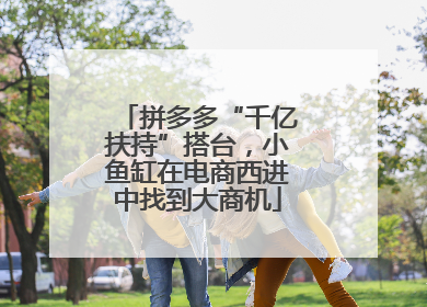 拼多多“千亿扶持”搭台，小鱼缸在电商西进中找到大商机