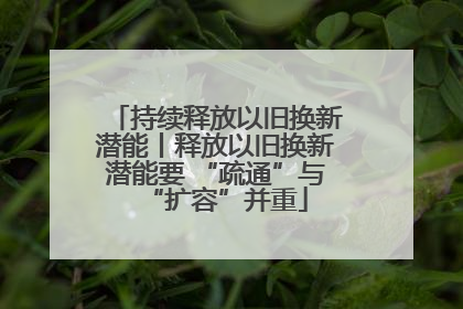 持续释放以旧换新潜能丨释放以旧换新潜能要 “疏通”与“扩容”并重