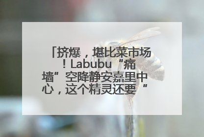挤爆，堪比菜市场！Labubu“痛墙”空降静安嘉里中心，这个精灵还要“突袭”便利店？