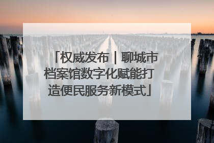 权威发布｜聊城市档案馆数字化赋能打造便民服务新模式
