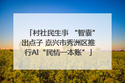 村社民生事 “智囊”出点子 嘉兴市秀洲区推行AI“民情一本账”
