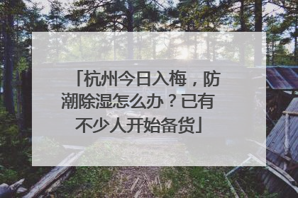 杭州今日入梅，防潮除湿怎么办？已有不少人开始备货