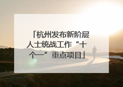 杭州发布新阶层人士统战工作“十个一”重点项目