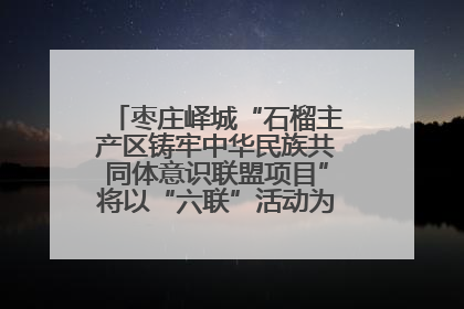 枣庄峄城“石榴主产区铸牢中华民族共同体意识联盟项目”将以“六联”活动为抓手深化品牌建设