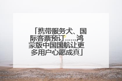 携带服务犬、国际客票预订……鸿蒙版中国国航让更多用户心愿成真