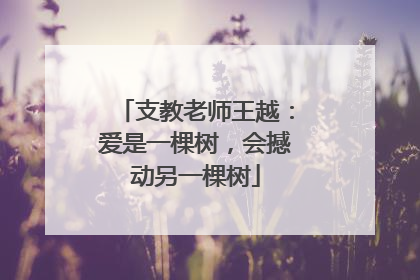支教老师王越：爱是一棵树，会撼动另一棵树