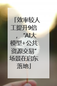 效率较人工提升9倍，“AI大模型+公共资源交易”场景在启东落地