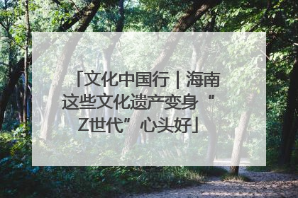 文化中国行｜海南这些文化遗产变身“Z世代”心头好