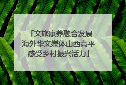 文旅康养融合发展 海外华文媒体山西高平感受乡村振兴活力