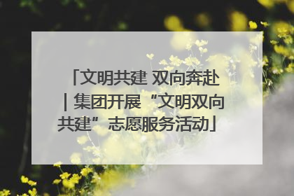 文明共建 双向奔赴｜集团开展“文明双向共建”志愿服务活动