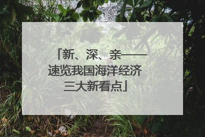 新、深、亲——速览我国海洋经济三大新看点
