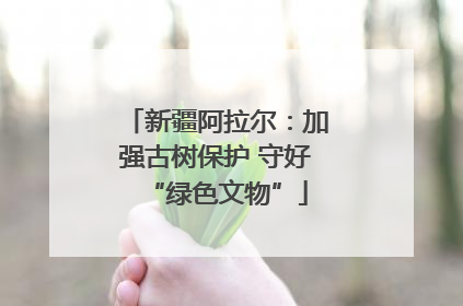 新疆阿拉尔：加强古树保护 守好“绿色文物”