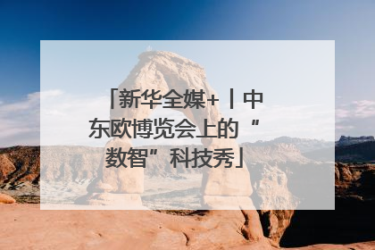 新华全媒+丨中东欧博览会上的“数智”科技秀
