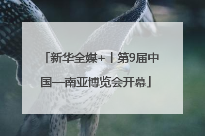 新华全媒+丨第9届中国—南亚博览会开幕