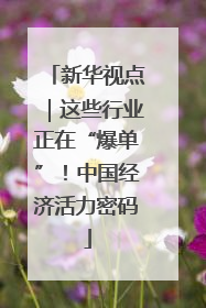 新华视点｜这些行业正在“爆单”！中国经济活力密码