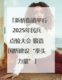 新桥街道举行2025年民兵点验大会 锻造国防建设“拳头力量”