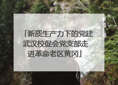 新质生产力下的党建 武汉校促会党支部走进革命老区黄冈