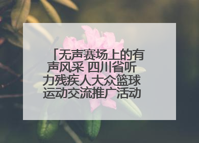 无声赛场上的有声风采 四川省听力残疾人大众篮球运动交流推广活动圆满落幕