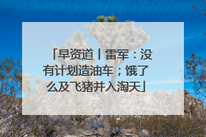 早资道丨雷军：没有计划造油车；饿了么及飞猪并入淘天