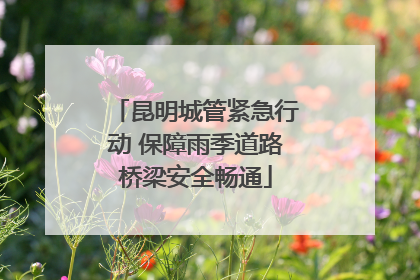 昆明城管紧急行动 保障雨季道路桥梁安全畅通