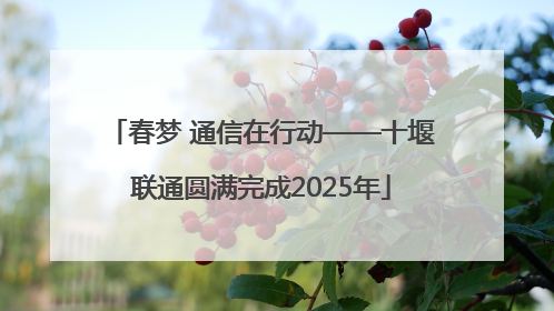 春梦 通信在行动——十堰联通圆满完成2025年
