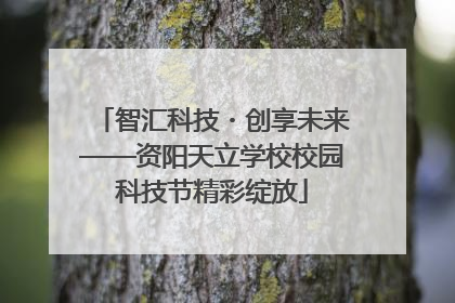 智汇科技・创享未来——资阳天立学校校园科技节精彩绽放