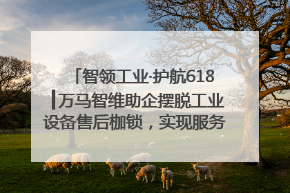 智领工业·护航618┃万马智维助企摆脱工业设备售后枷锁，实现服务与效能价值共振！