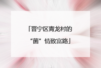 晋宁区青龙村的“菌”情致富路
