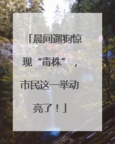 晨间遛狗惊现“毒株”，市民这一举动亮了！