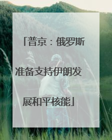 普京：俄罗斯准备支持伊朗发展和平核能