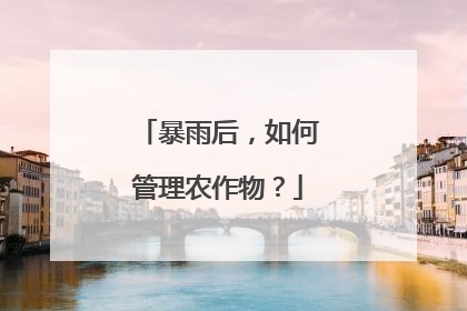 暴雨后，如何管理农作物？
