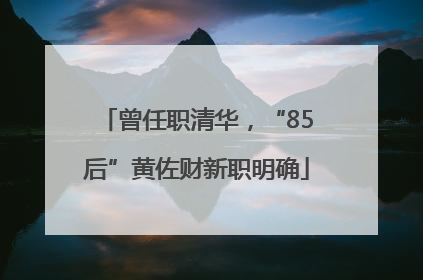 曾任职清华，“85后”黄佐财新职明确