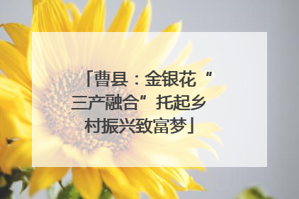 曹县：金银花“三产融合”托起乡村振兴致富梦